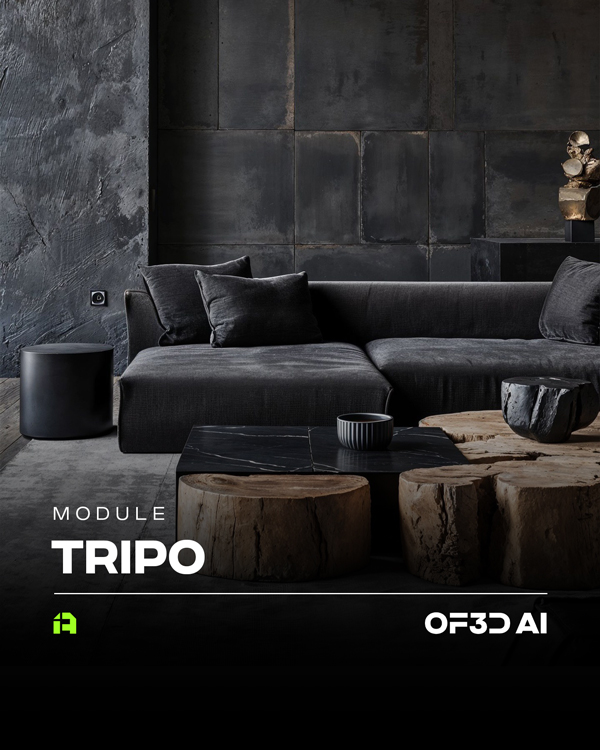 11-MÓDULO-TRIPO-OF3DIA-ING